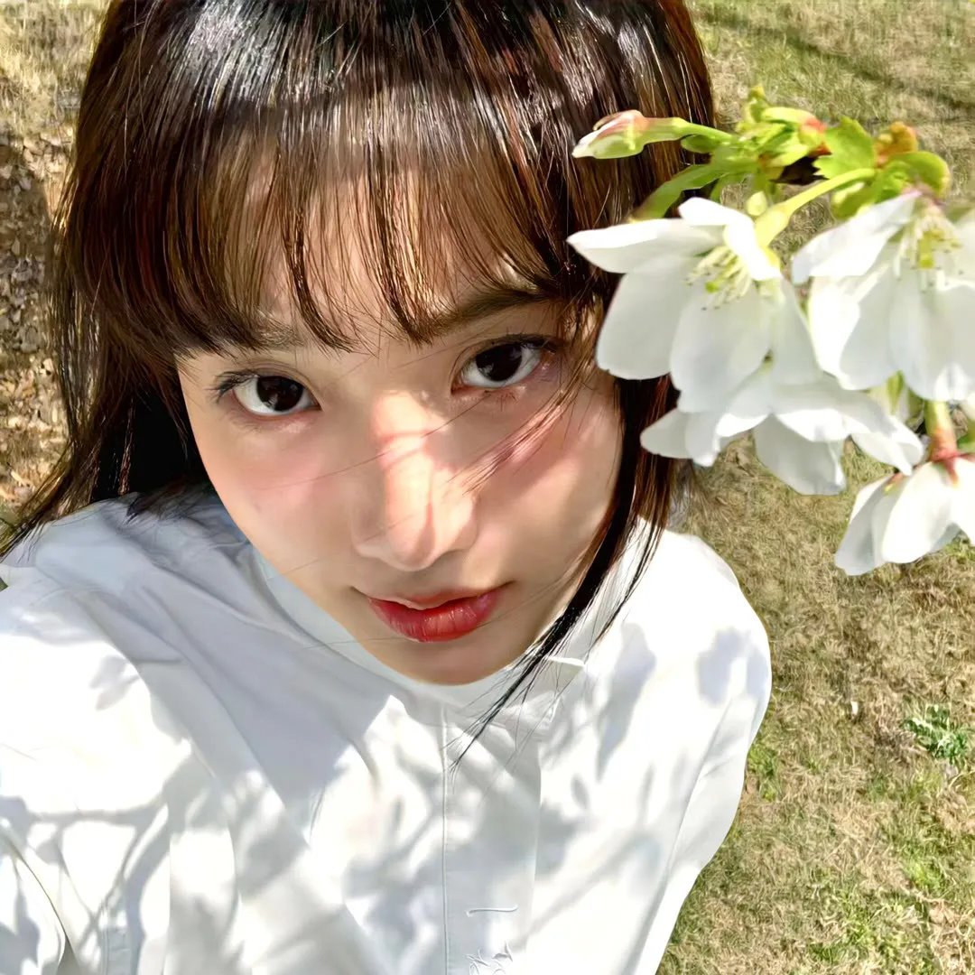 美国派3：美国婚礼